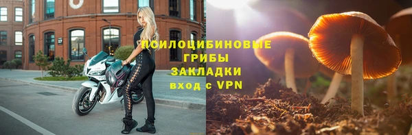 apvp Нягань