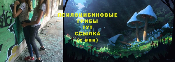 кокс Няндома