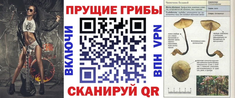 Псилоцибиновые грибы мицелий закладка Крым