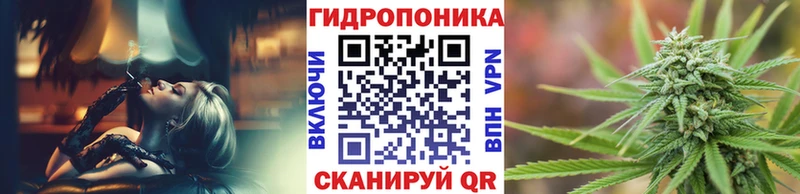 omg как зайти Крым Канабис OG Kush